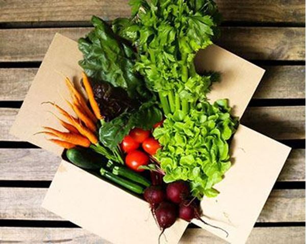 Seasonal Vegetable Box